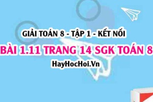 Bài 1.11 SGK Toán 8 tập 1 Kết nối tri thức